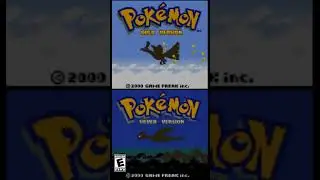 Pokémon Gold Version and Pokémon Silver Version Anniversary!