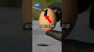 세계에서 가장 어두운 검정색 물감