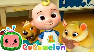Pet Care | CoComelon Furry Friends | Animals for Kids