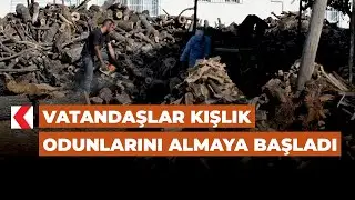 Vatandaşlar kışlık odunlarını almaya başladı