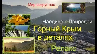 Крым. Природа гор. Релакс