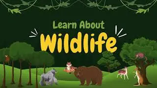 Exploring Wildlife Animals With  Voice: Fun Facts for Kids  II Learning Video II Fun Video