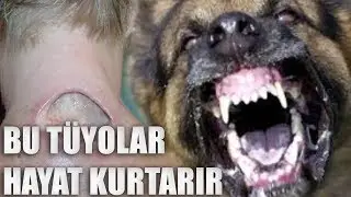 Bir Gün İşinize Yarayacak HAYATA DAİR Tüyolar