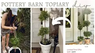 DIY TOPIARY'S 🪴 Pottery Barn Topiary DIY Dupe | Summer Front Porch