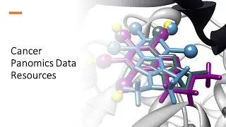 Cancer Panomics Data Resources