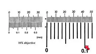 AS Biology - How to calibrate a microscope