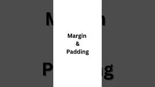 Difference Between Margin & Padding In CSS! 