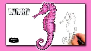 How to Draw a Seahorse in EASY Steps Video