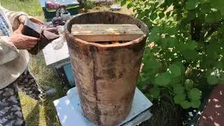 Пчелиные рои 2023 года. 6 Июля готовим рои к подсолнуху.