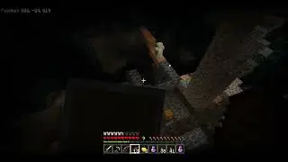 Minecraft, But With No Audio and Team got Shafted.