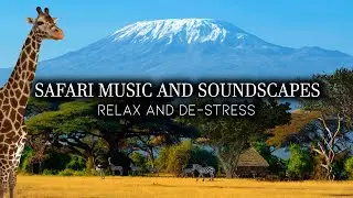 Relaxing Music and Animal Sounds - Calm Your Mind, Relax and De-stress - Safari