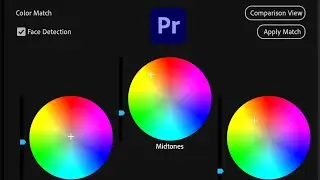 How to Color Match in Premiere Pro 2023