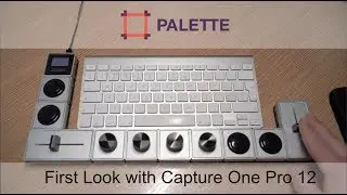 Capture One Pro and Palette Gear Editing