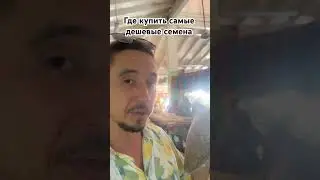 Дешевые семена можно купить