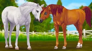 Horse Festival Continues Star Stable Online Update