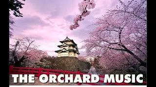 Relaxing Music for Deep Sleep.The Orchard Music