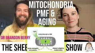 Extending lifespan by rejuvenating mitochondrial membrane potential - Dr Brandon Berry