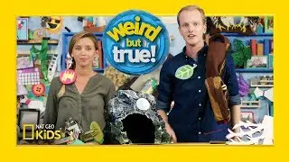 Avalanche in the Craft Room of “Weird But True!” | Weirdest, Bestest, Truest