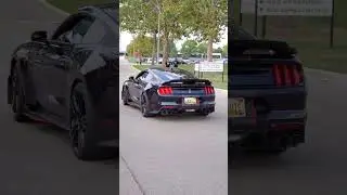 Shelby GT500 in Detroit 🏎️