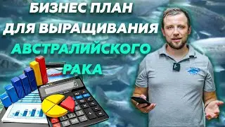 Бизнес план для УЗВ по ВЫРАЩИВАНИЮ австралийского РАКА | Бизнес идеи | Стартап