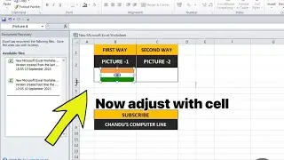 एक्सेल पिक्चर को सेल की साइज के साथ छोटा और बड़ा  करना  एक्सेल पिक्चर प्रॉब्लम अब नहीं रहेगी