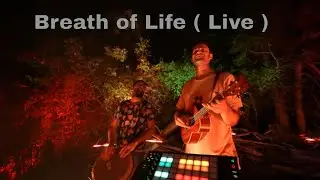 Breath of Life Live Outdoor Performance - Sina Bathaie