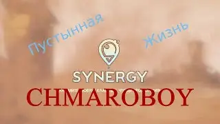 Пустынная жизнь! Игра Synergy.