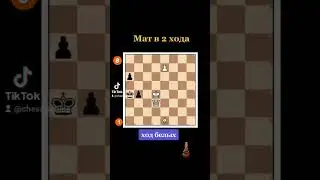 Шахматная задачка #chess #шахматы #chorts