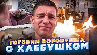 Кукинг стрим. Готовим воробья с хлебом