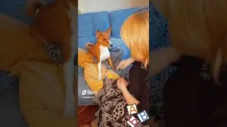 😲СОБАКА ЗНАЕТ БУКВЫ❓ #смешноевидео 🐶 #татьянабокова