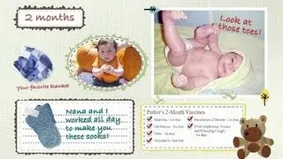 The Immunization Baby Book