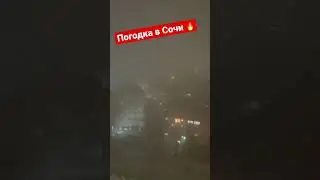 Погодка в Сочи