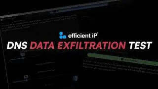 DNS Data Exfiltration Test - OFFICIAL TEASER