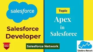 Apex in Salesforce, Apex Tutorial in Salesforce.