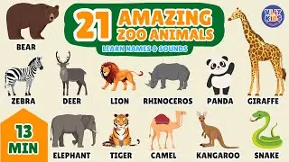 21 Amazing Zoo Animals: Names and Sounds for Kids | Fun Learning Adventure!