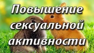 Улучшение любовных отношений  Повышение сексуальной активности