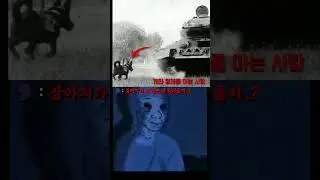 불쌍한 강아지