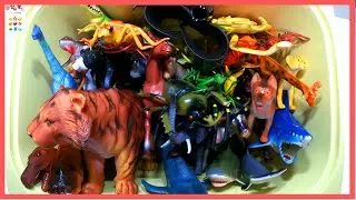 Learn BIG Sea Animals Dinosaur Farm Animals Wild Zoo Animals names 바다동물 공룡 농장동물 동물원동물 야생동물 이름 배우기