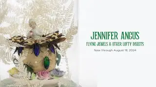 Jennifer Angus: Flying Jewels & Other Lofty Insects