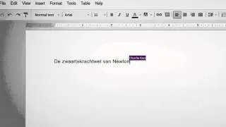 01 document NL