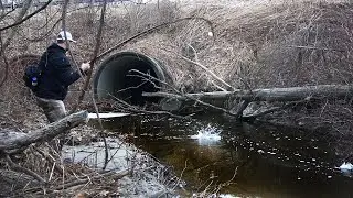 Spring Run Steelhead 2023 - Bobber Downs in TINY Creeks!