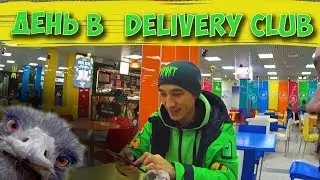 РАБОТА В Delivery Club