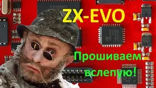 Как прошить Flash ROM в ZX Evolution без монитора и программатора.