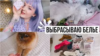 СЧИТАЕМ МОИ ТРУСЫ И ЛИФЧИКИ 😳 Расхламление БЕЛЬЯ /ПОКРАСИЛАСЬ /МАЙСКИЕ ПРОГУЛКИ