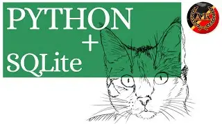 Работа с Базой Данных SQLite в Python