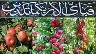 تم اللہ پاک کی کس کس نعمت کو جھٹلاؤ گے|