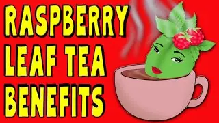 10 Amazing RASPBERRY LEAF TEA Benefits for pregnancy & more - How good is it really?