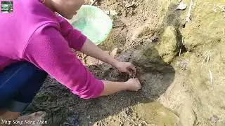 Bắt cá mắc cạn Gặp hang ổ cá trạch khủng   Nhịp Sống Nông Thôn