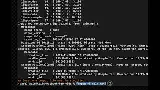 FFMPEG Tutorial - Transcoding process -