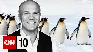 Low sea ice threatens Antarcticas penguins | April 30, 2024